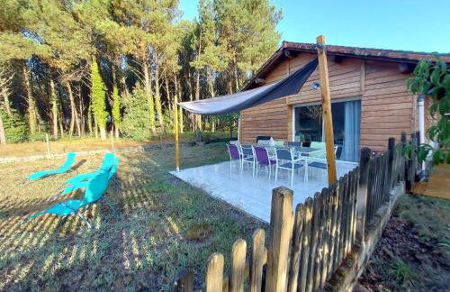 Les Gîtes du Grand Chêne - Foto 4