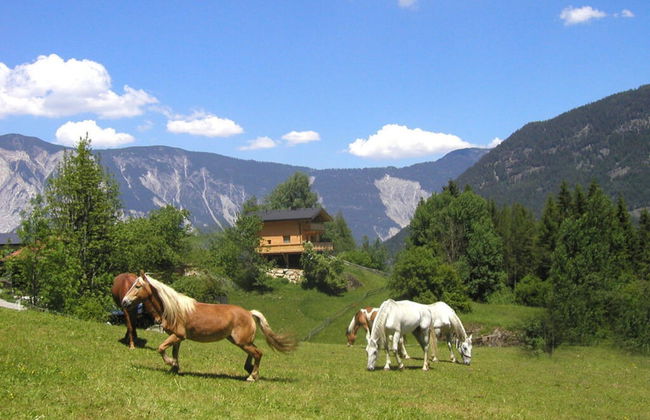 Holiday Home Chalet Astrid - Foto 12