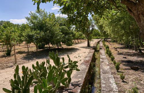 Solar de Vilar Seco - Foto 77