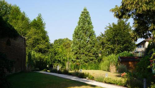 BITO CAMPUS - Foto 3, Garden view