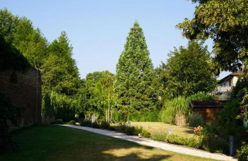 BITO CAMPUS - Foto 30