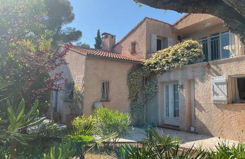 Les cigales - Foto 3