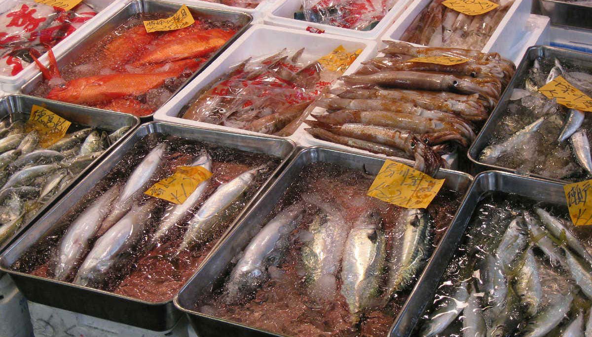 Fresh fish in Tsukiji