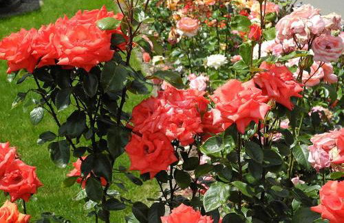 Ferienwohnung Eva Maria - Foto 28