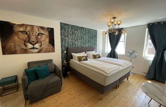 Deluxe Studio La Gatita Amable - Foto 1