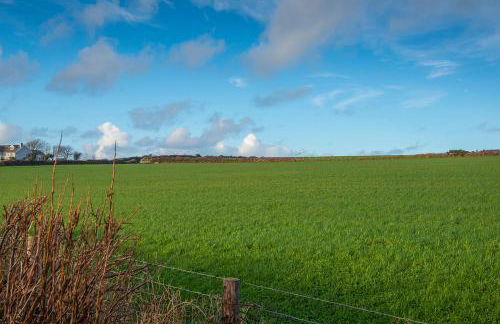 Ty Peggie - Photo 29