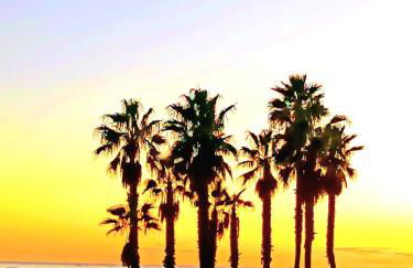 1ª LÍNEA DE PLAYA. Apartamento: LA CALMA - Foto 45