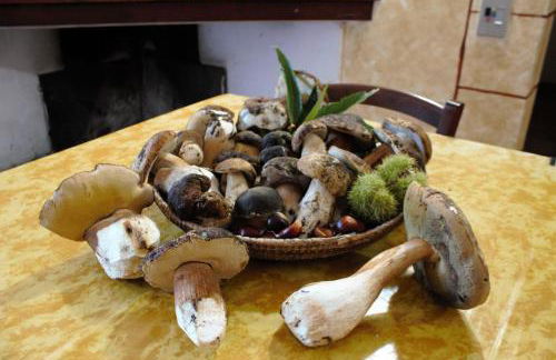 Agriturismo Piperedda - Foto 24