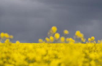 Haus Waterblick - Foto 20