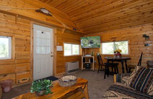 Remington Retreat by KABINO Dog Friendly FirePit Sleeper Sofa WiFi Grill - Foto 13