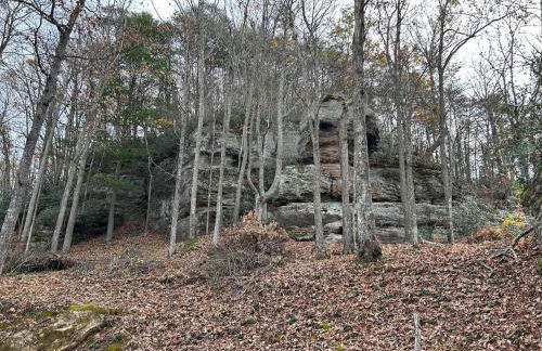 Cherokee Cabin-Cave Run Lake and Cliff Views-Red River Gorge - Foto 40