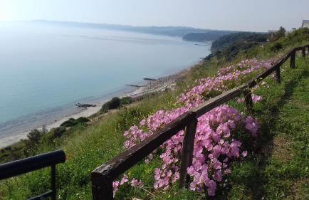 Aegean Blue Studios - Foto 7