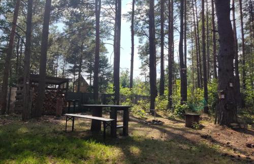 domki przy lipowej 16 - Foto 23