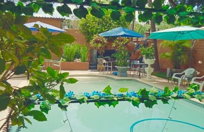 La Belva Court with Swimming Pool - Photo 10