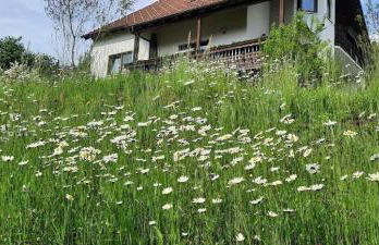 Haus Am Waldesrand - Foto 35