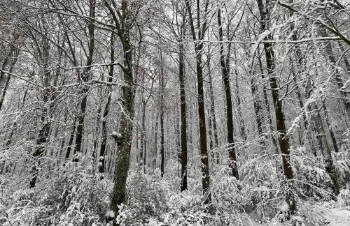 Maison de village, Route des lacs - Foto 49