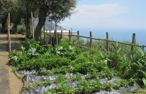 Casa Vacanze Il Libeccio - Foto 54