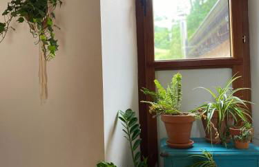 Maistraren Etxea EVI00179 - Foto 23