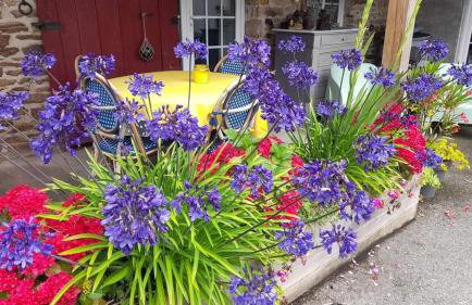 Maison An Ty Göal - Foto 7