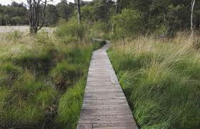 Le Cottage de la Doucette - Foto 36