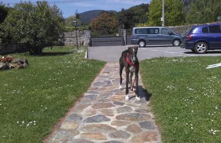 La Casona del Carmen - Foto 50