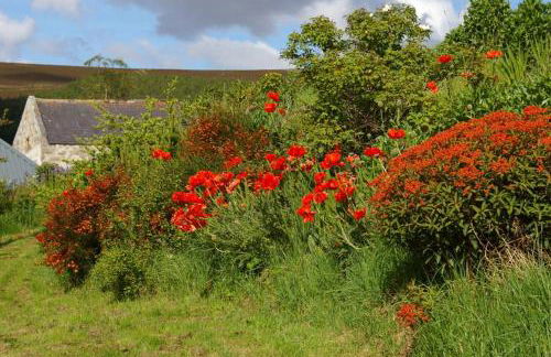 Easter Corrie Cottages - Foto 23