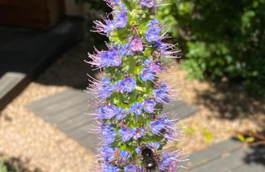 Résidence Terra Théa - Foto 102