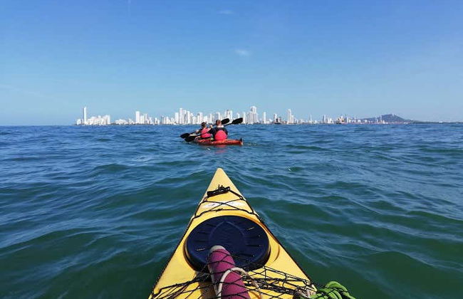 Punta Arena Kayak Tour - Photo 4