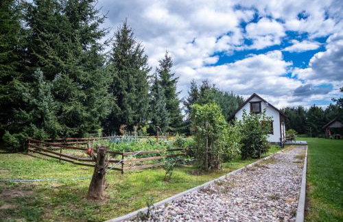 Mały Kaletnik - Foto 30