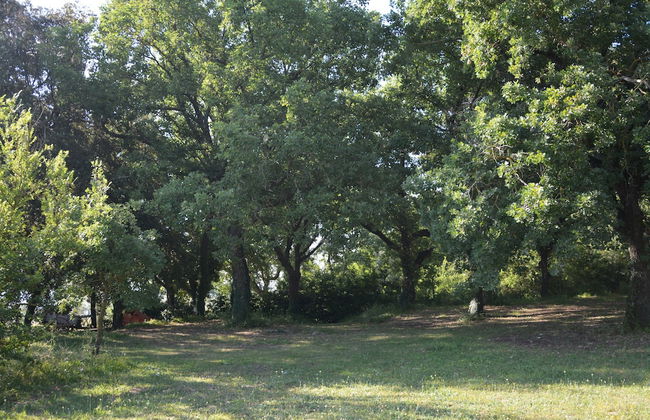 Le Ghiande - Photo 36