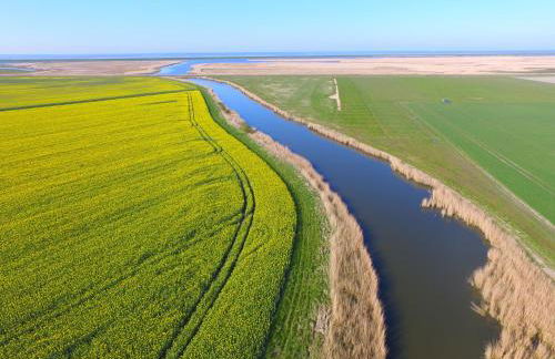 Op Lundingland - Photo 11