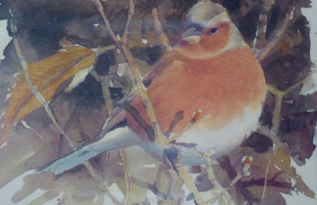 Holiday Home in Montecarelli With Pool - Foto 10