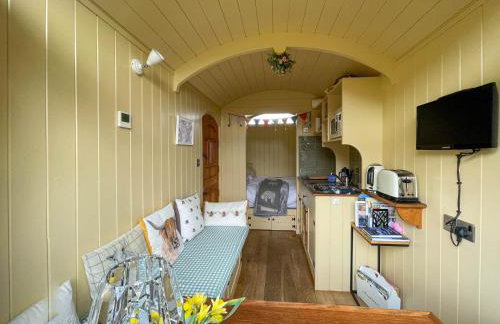 5 Star Shepherds Hut in Betws y Coed with Mountain View - Foto 10