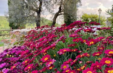 Agriturismo Belagaggio - Foto 33