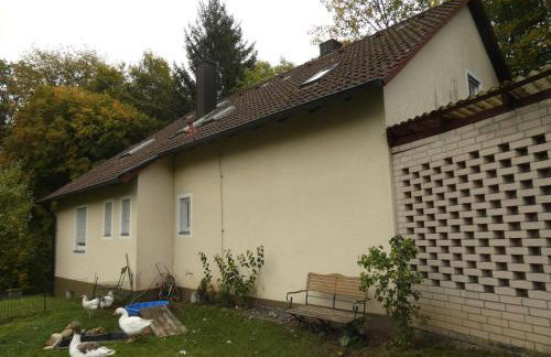 Weisses Huhn von Moschendorf - Photo 46