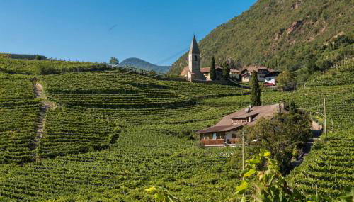 Untermoserhof - Foto 2