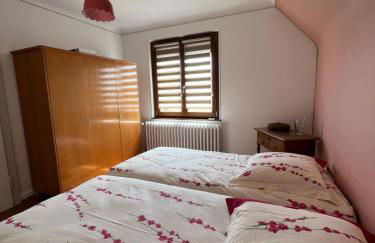 Le Cerisier - Route des vins - Parking et terrasse avec vue sur montagnes et vignoble - Foto 11