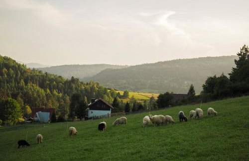 HillOut - Domek w Milówce - Workation - Praca zdalna - Foto 61