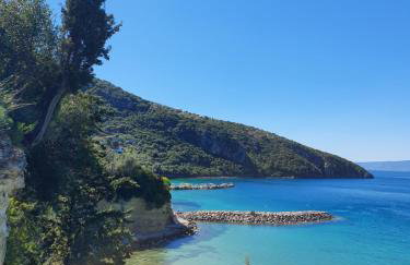 Cape Kitries - Photo 11