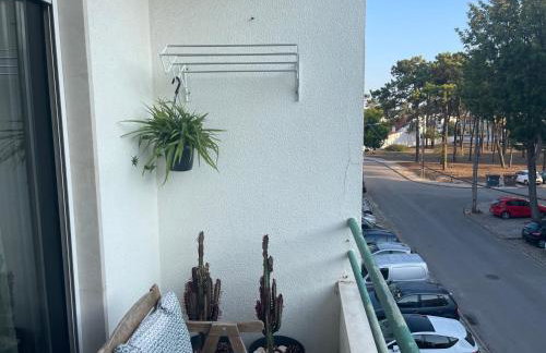 BestHomeStay- Caparica Beach Lisbon - Photo 34