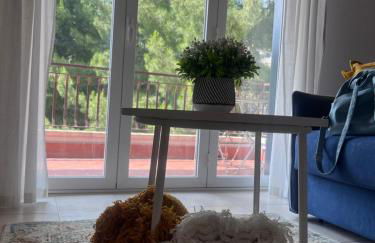 Allegracore Rental House - Foto 6