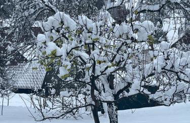 Plesivica Hillside Holiday Home With Hot -tub - Foto 9