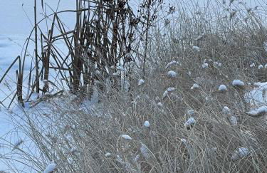 Romantic Wooden Lodge,Sauna,Schwimmteich,alleinstehend,absolut ruhig - Foto 25