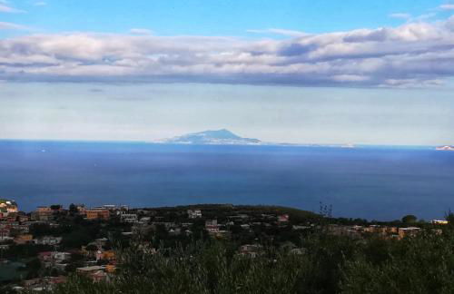 La Mandra, cottage tra gli ulivi - Foto 9