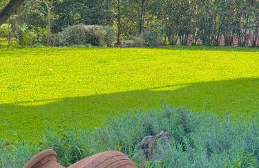 One 360 Skyline Athens Penthouses - Foto 73