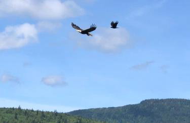 World Cup Stay-Lake Samish Getaway - Foto 22