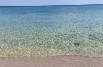 Casa Clemente - Foto 33