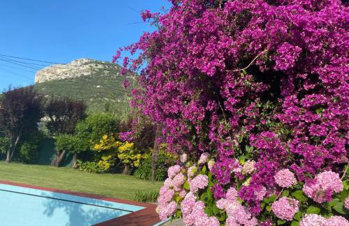 Casa la Choza, con piscina en la playa de Oriñón - Foto 15