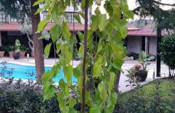 Casa Barranqueiro - Foto 32