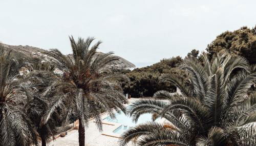 Ca la Bahía - Your Mediterranean stay - Foto 1, Garden view